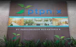 PTPN X